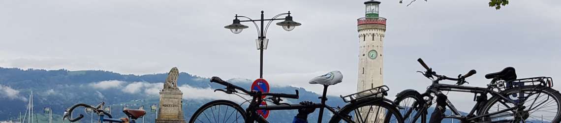 Critical Mass Lindau