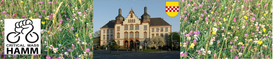 Critical Mass Hamm